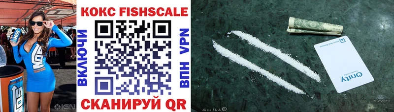 купить   Горячеводский  shop какой сайт  COCAIN Fish Scale 