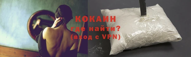 герыч Майский