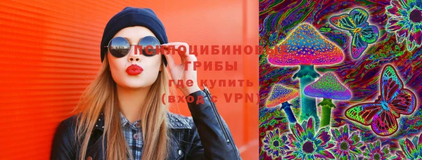 СК Магадан
