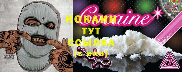 мяу мяу мука Магас