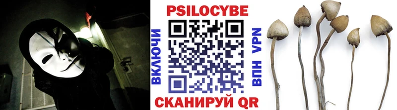 где продают наркотики  Горячеводский  Галлюциногенные грибы Psilocybine cubensis 